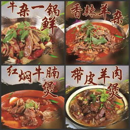 东莞伊食康清真食品公司 为河南优质牛羊肉代言