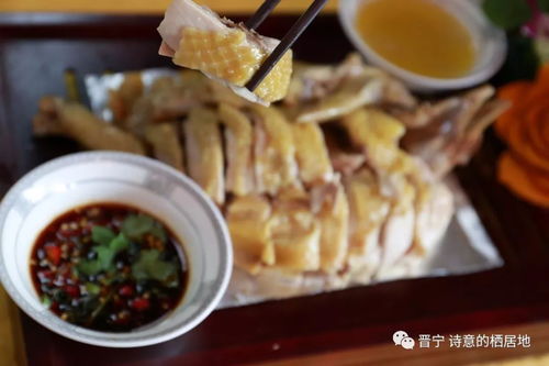 美食响当当 伊品清真土凉鸡